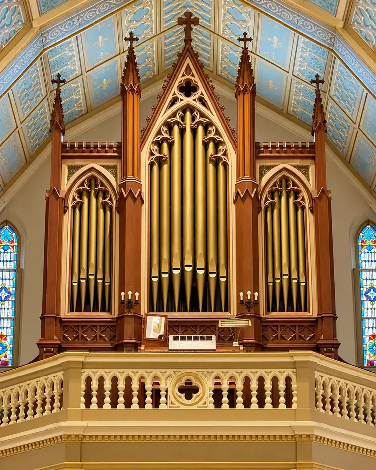 The gallery organ of San Fernando Cathedral, its gilt façade pipes rising in three Gothic cases beneath the painted blue and cream ceiling.